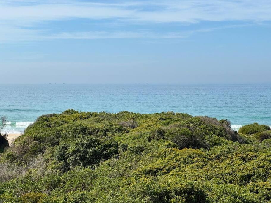 Low Tide At No 35 St Francis Bay Luaran gambar